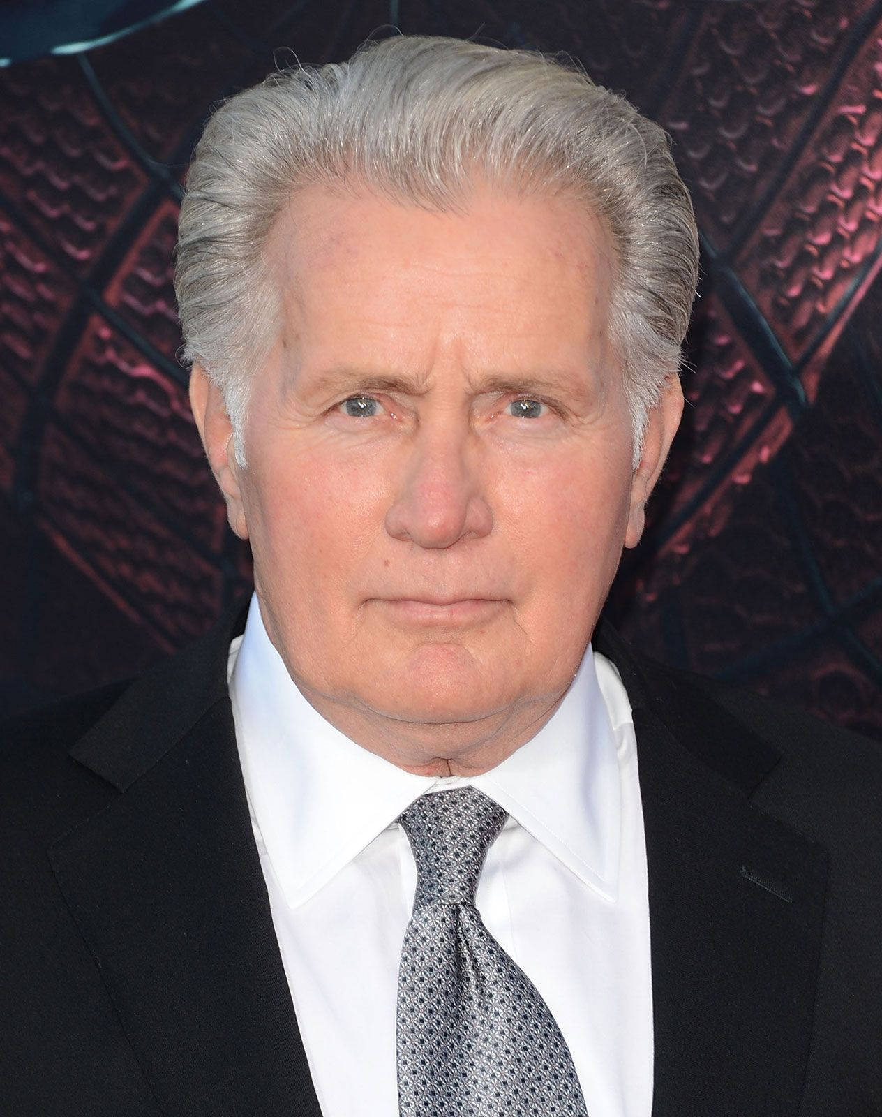 Martin Sheen The Amazing Spider-man Premiere Wallpaper