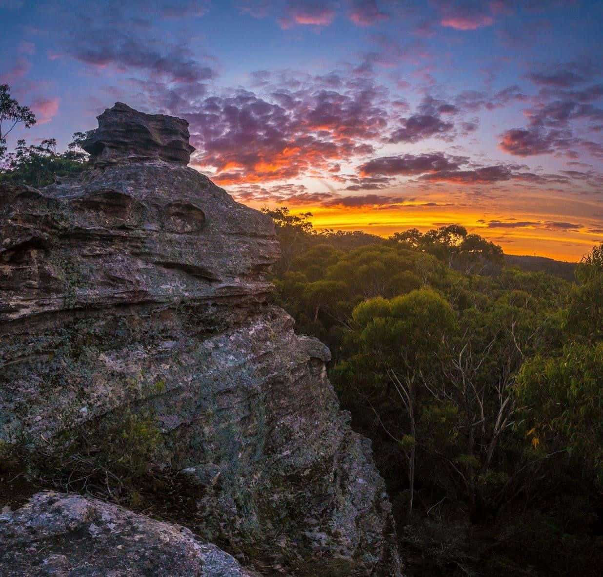 Marvel At The Breathtaking Views Of Blue Mountains National Park Wallpaper