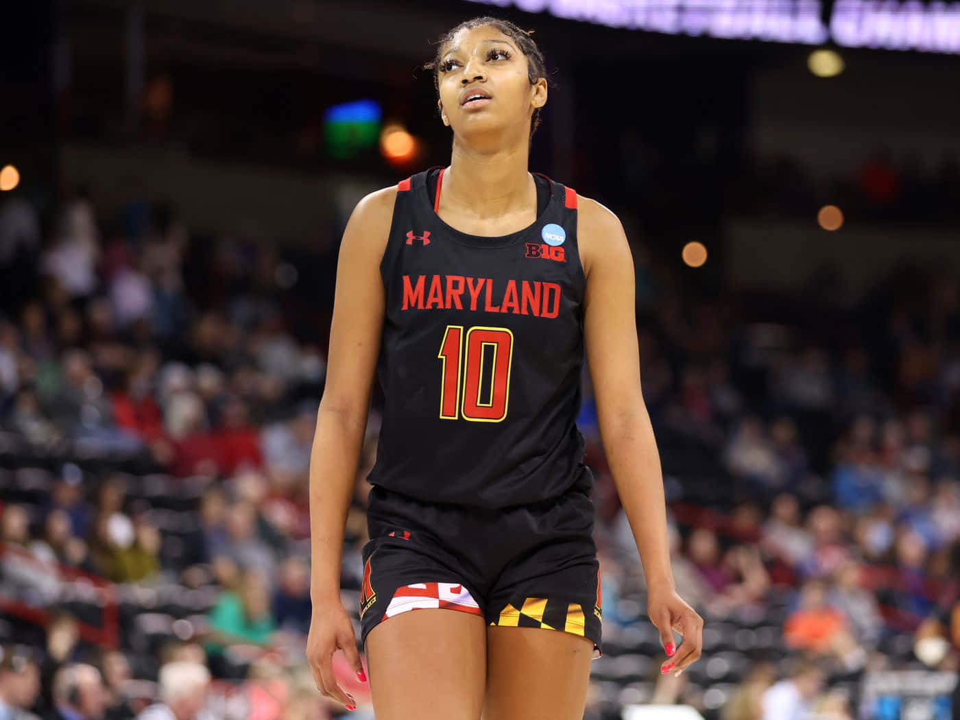 Maryland Basketball Player Angel Reese Wallpaper