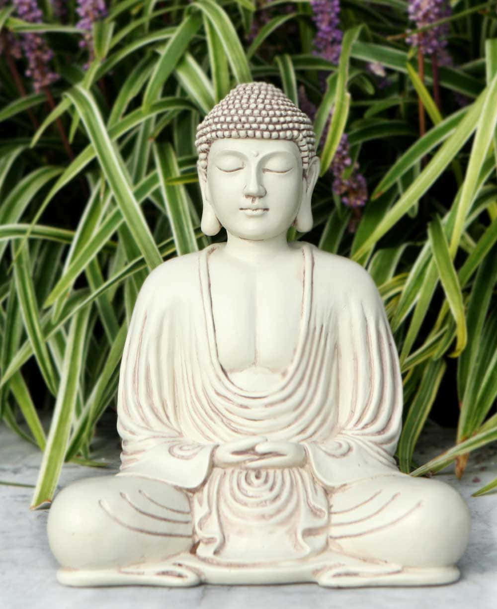 Meditating Buddha Statue Garden Wallpaper