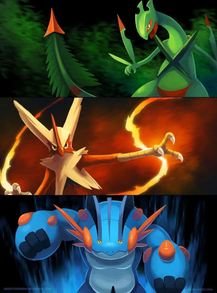 Mega Sceptile Blaziken And Swampert Salamence Wallpaper