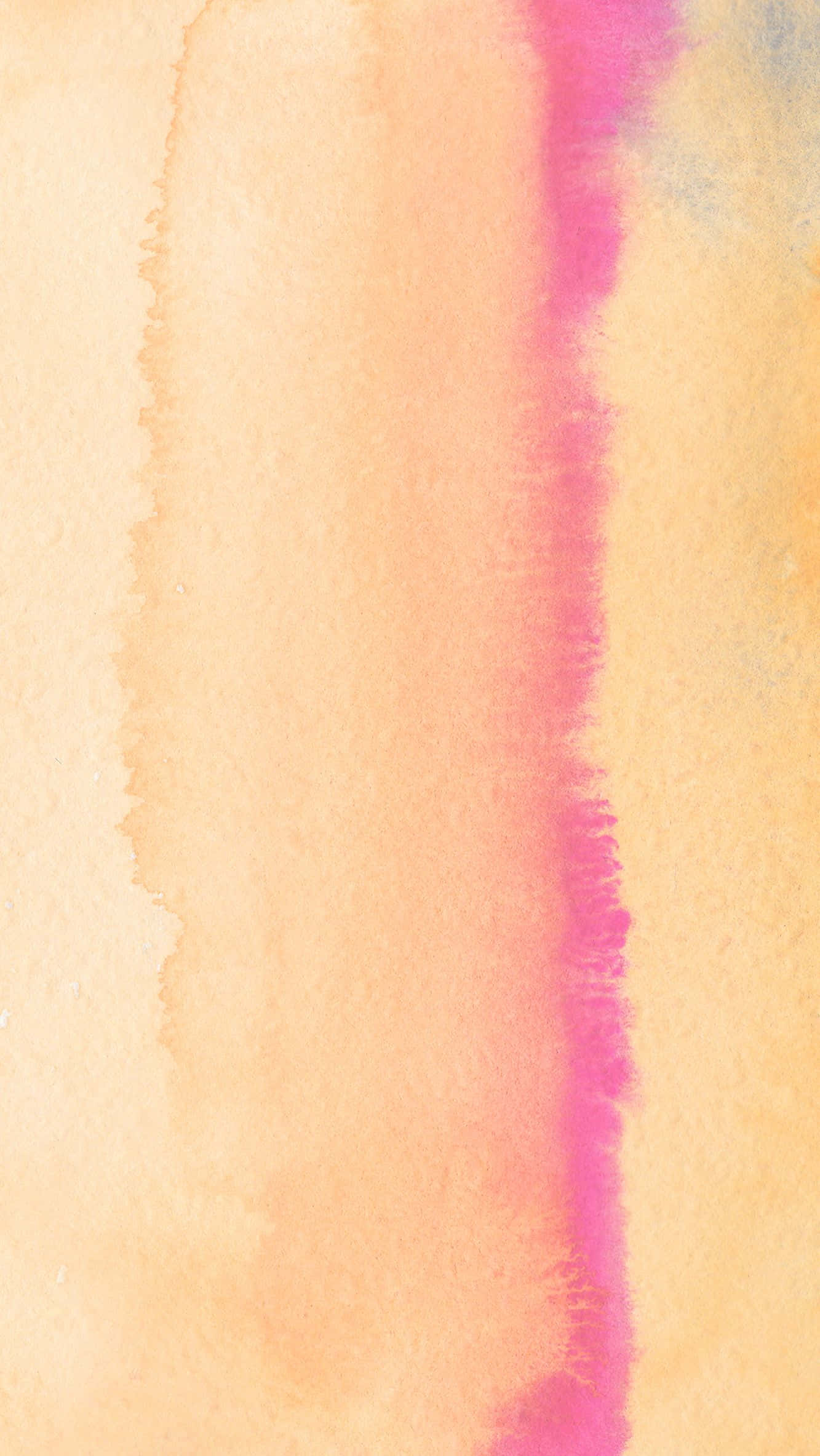 Mellow Shades Of Peach For Your Iphone Wallpaper