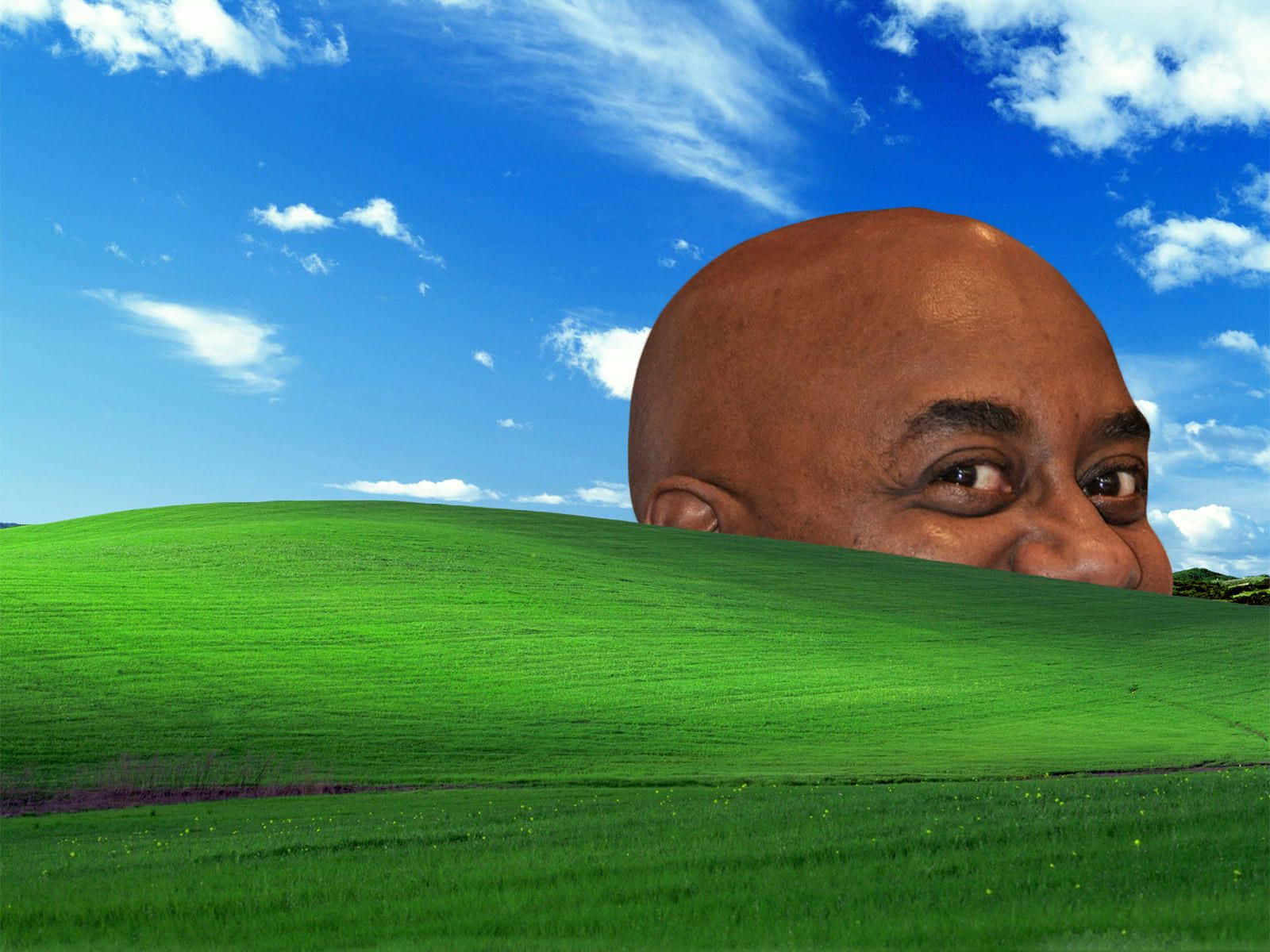 Meme Laptop Ainsley Harriott X Bliss Wallpaper