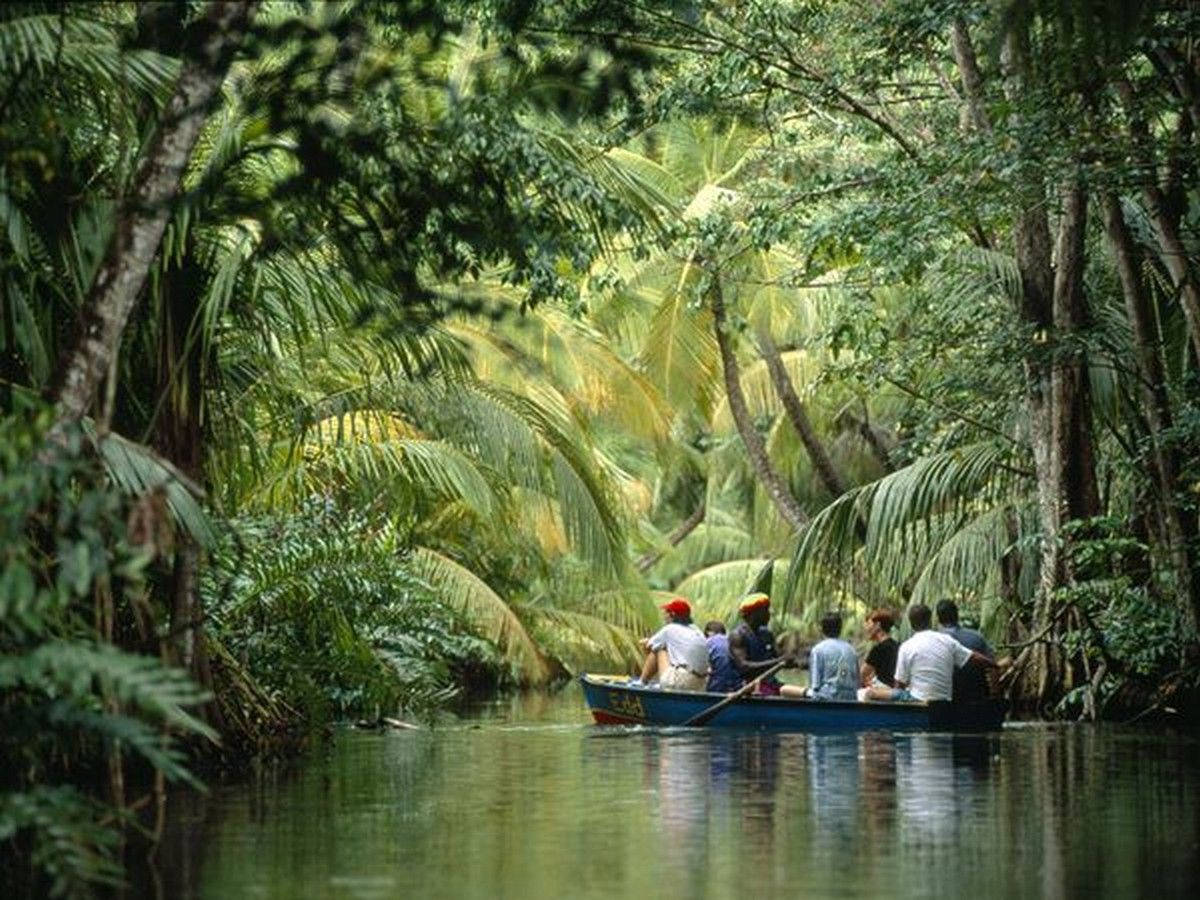 Men Sailing At Dominica Lake Wallpaper