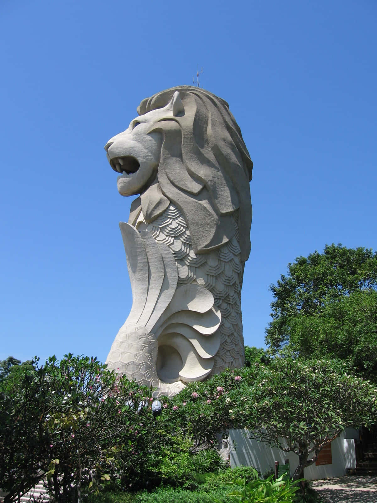 Merlion Statue Singapore Wallpaper