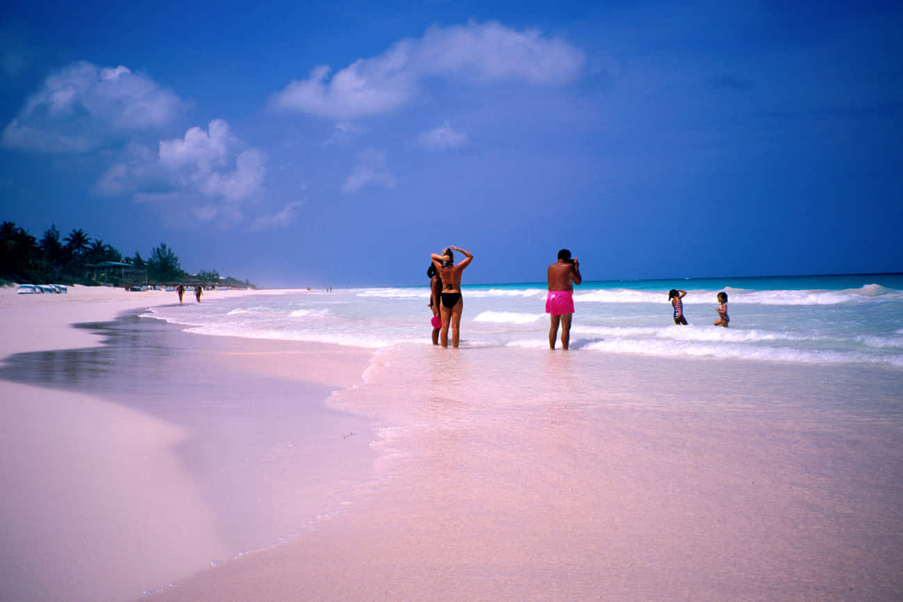 Mesmerizing Beauty Of Pink Sand Beach Wallpaper