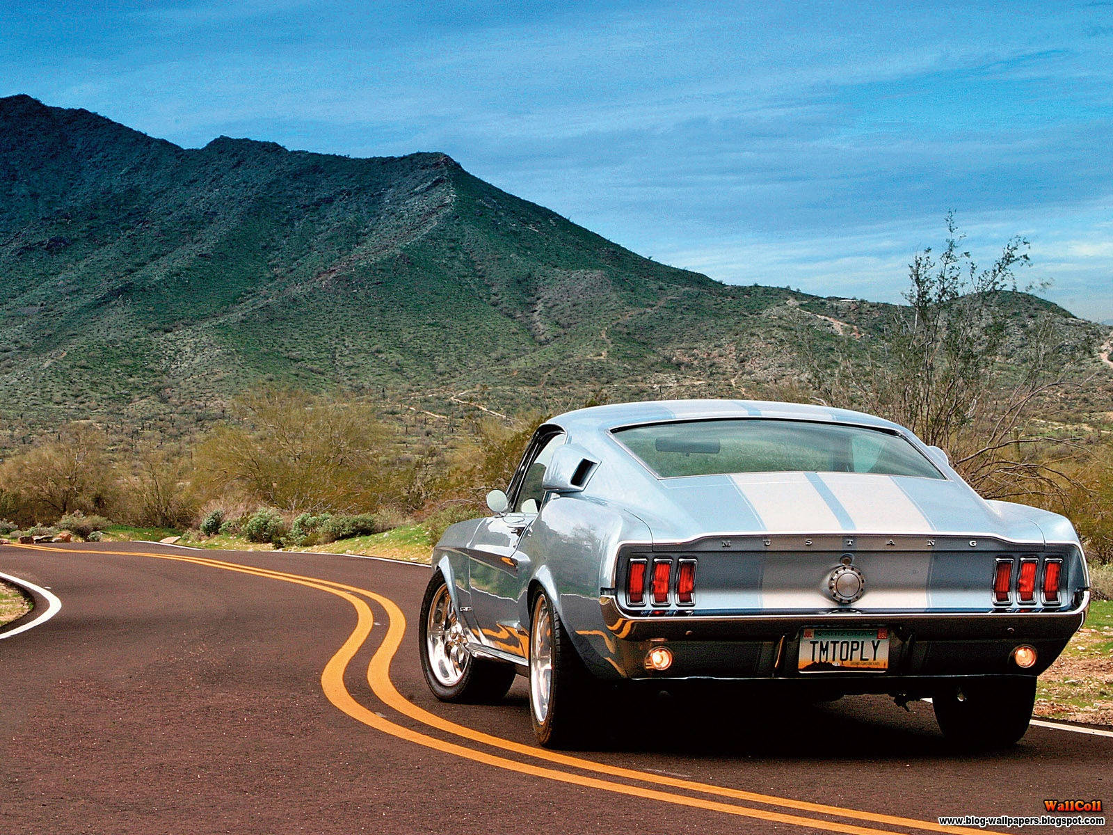 Metallic Blue Shelby Iphone Wallpaper