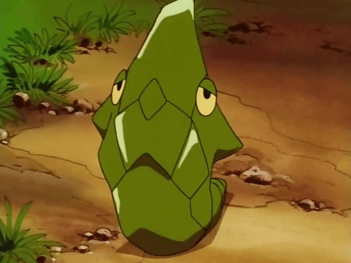 Metapod In The Pokemon Anime Wallpaper