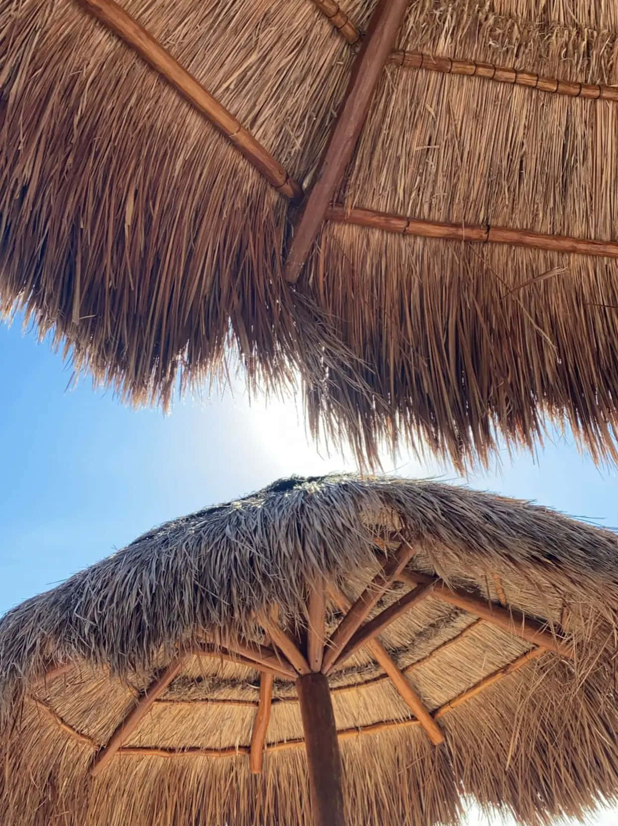 Mexican Beach Palapa Umbrella Wallpaper