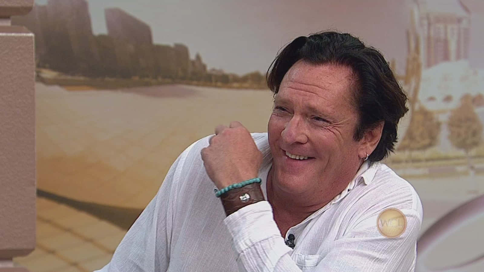 Michael Madsen Smiling During Interview Wallpaper