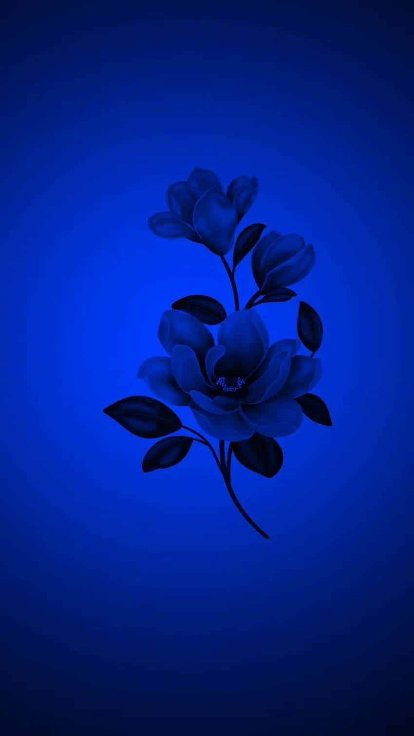 Midnight Blue Floral Aesthetic Wallpaper