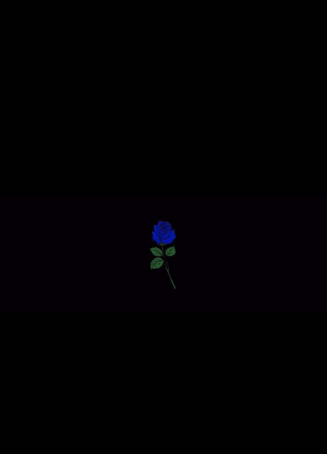 Midnight Blue Rose Aesthetic Wallpaper