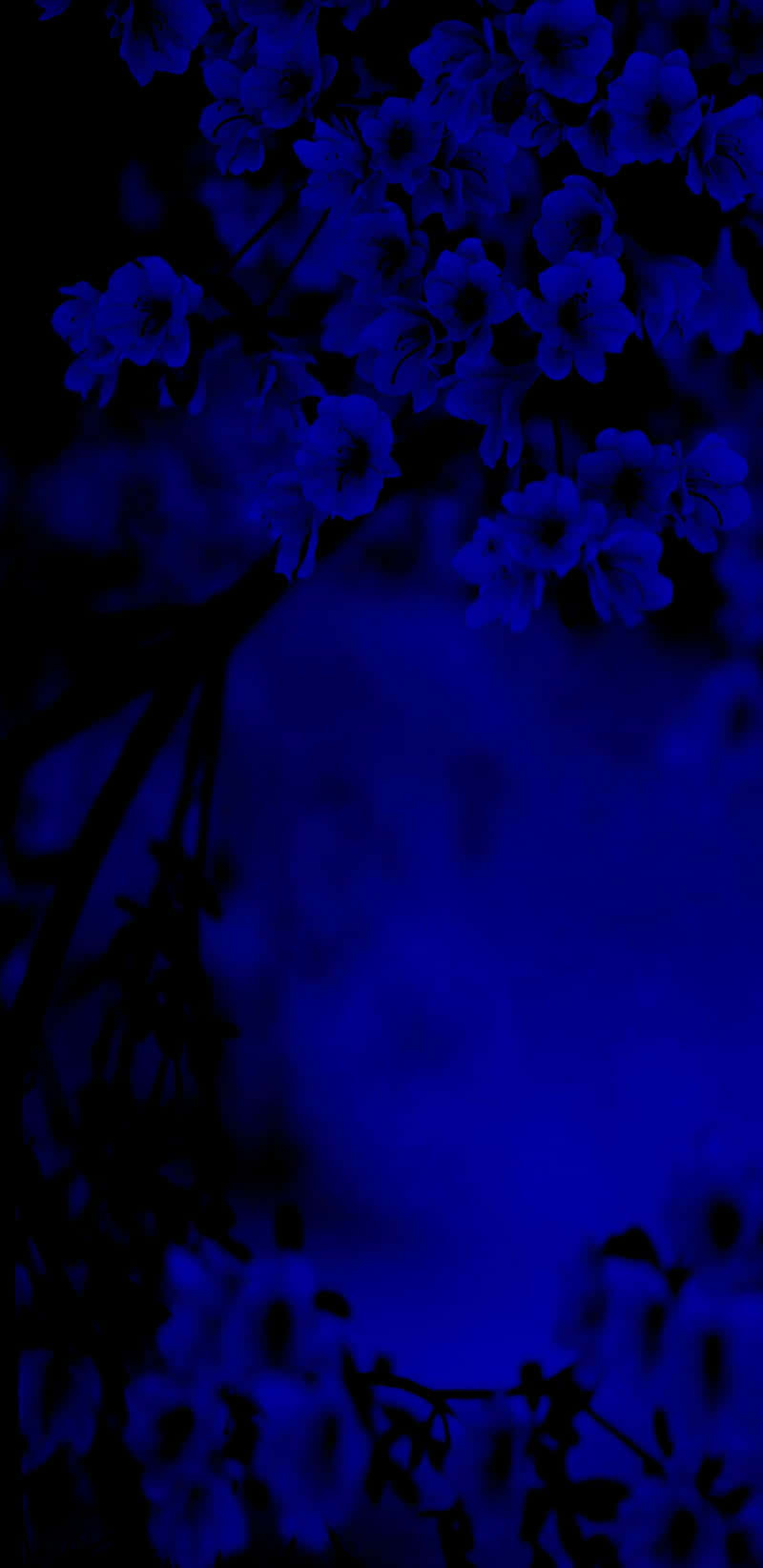 Midnight Floral Aesthetic Dark Blue Wallpaper