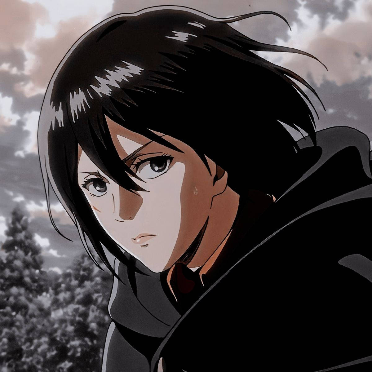 Mikasa Ackerman Face Closeup Wallpaper