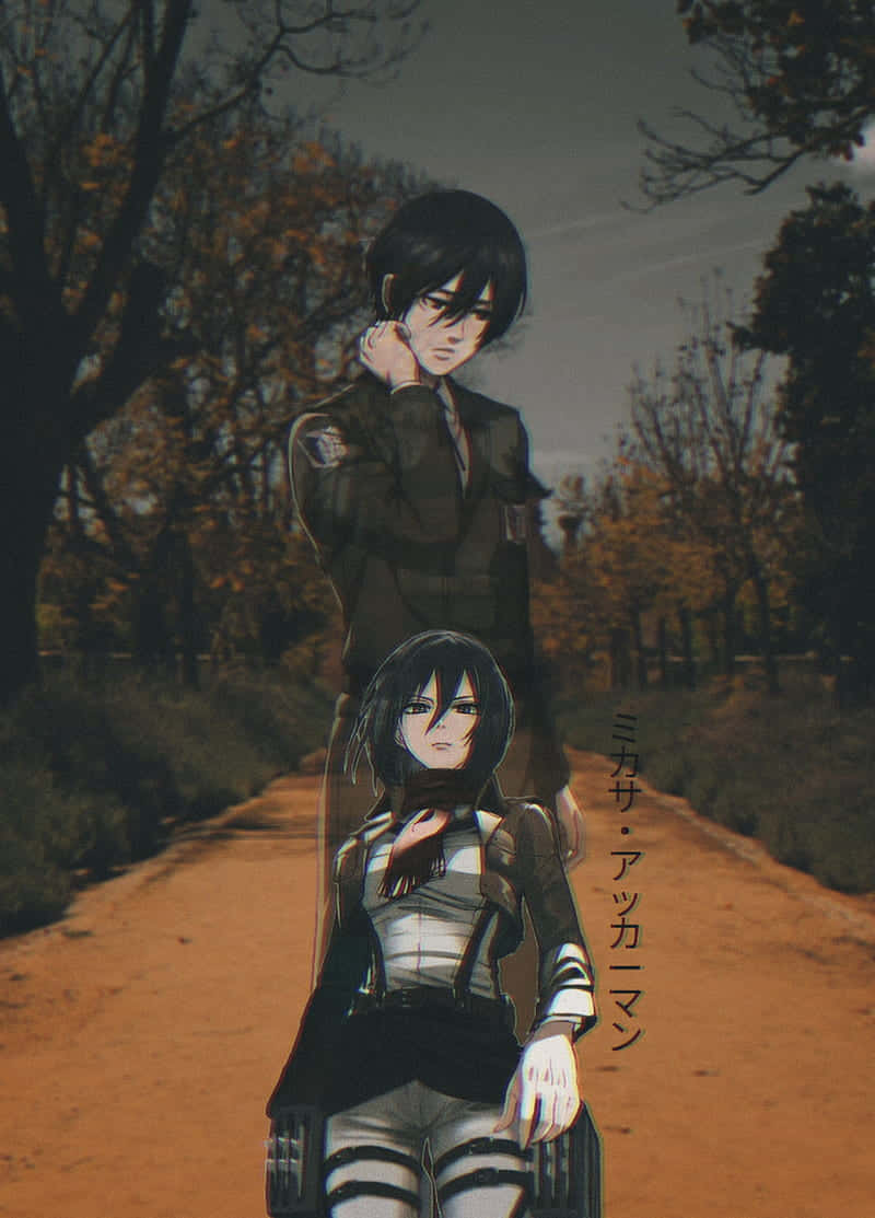 Mikasa Pfp As A Man Wallpaper