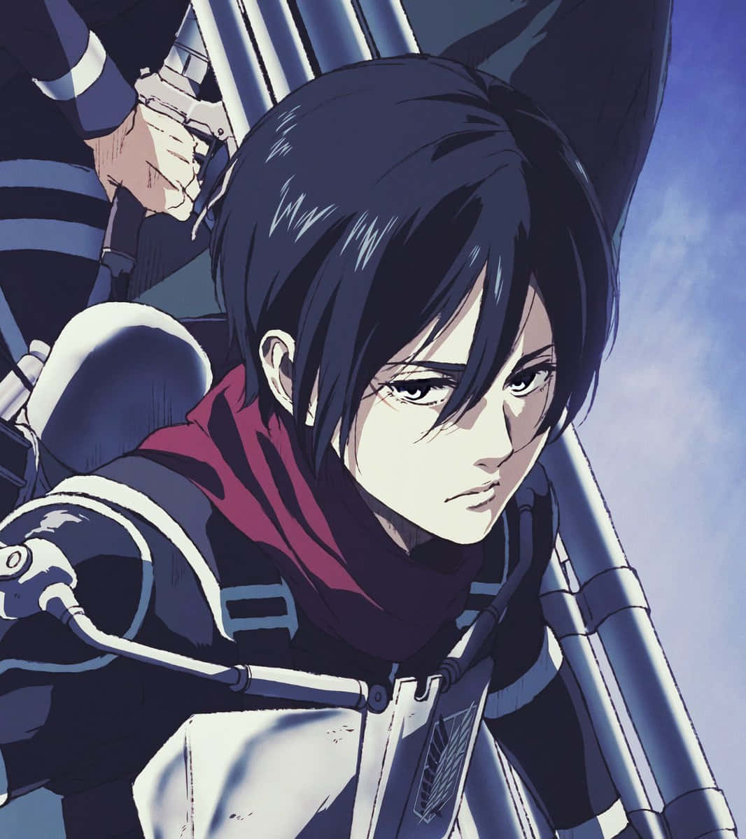 Mikasa Pfp Determined Wallpaper