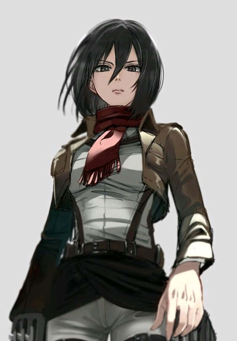 Mikasa Pfp Look Down Wallpaper