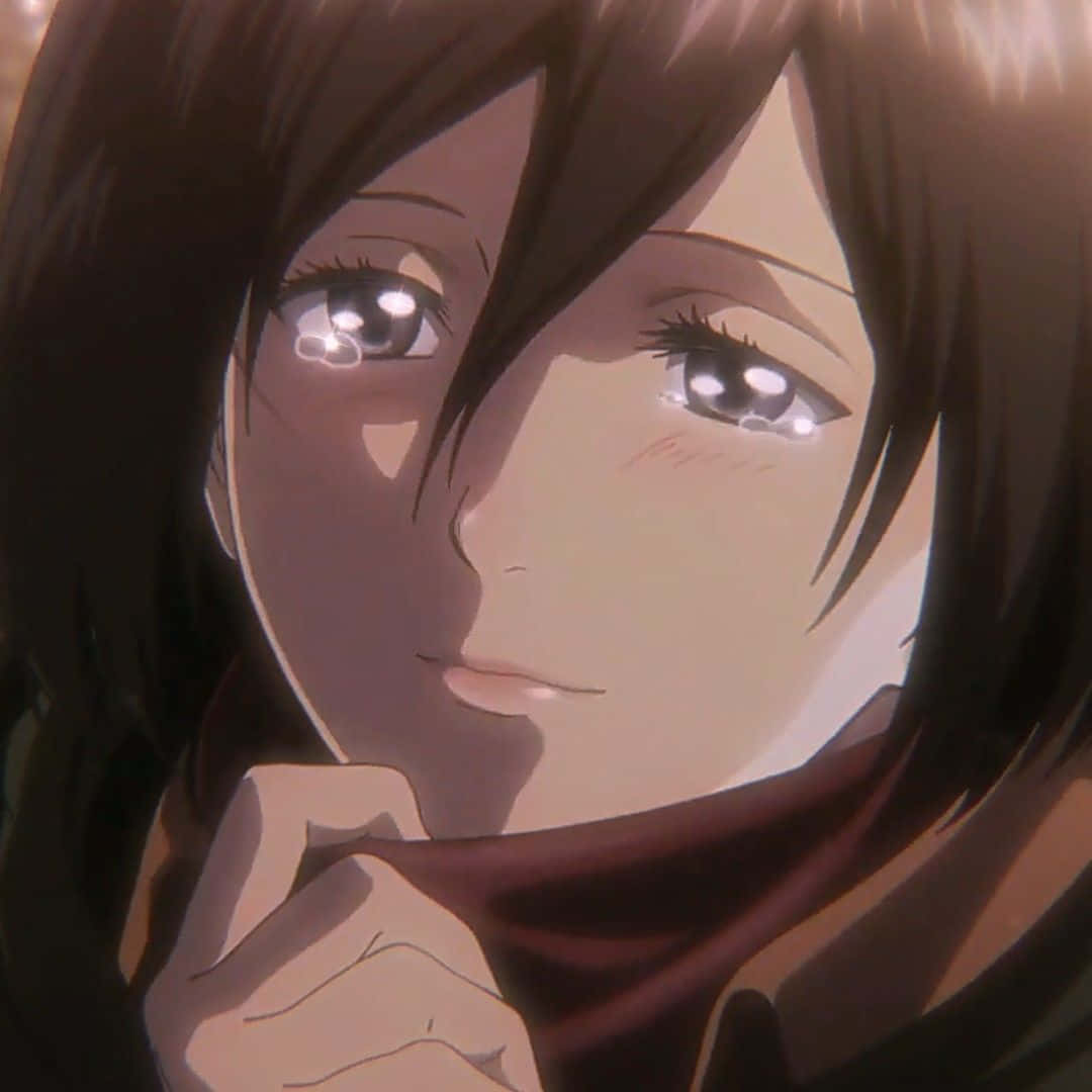 Mikasa Pfp Soft Look Wallpaper