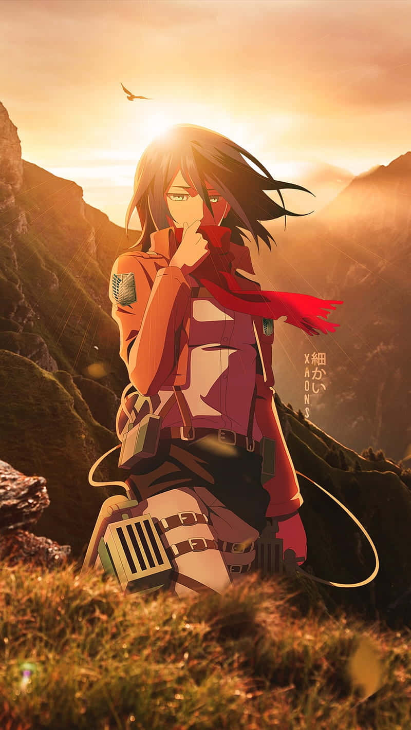 Mikasa Pfp Sunset Wallpaper