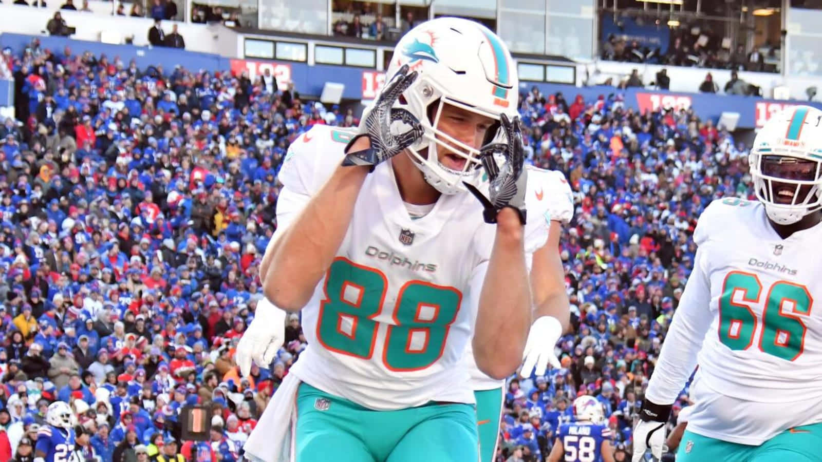 Mike Gesicki Celebration Dolphins Game Wallpaper