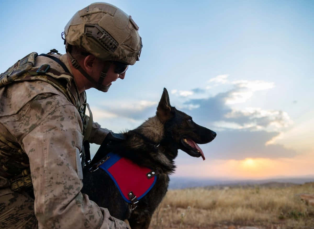 Military Handlerand Service Dogat Sunset Wallpaper