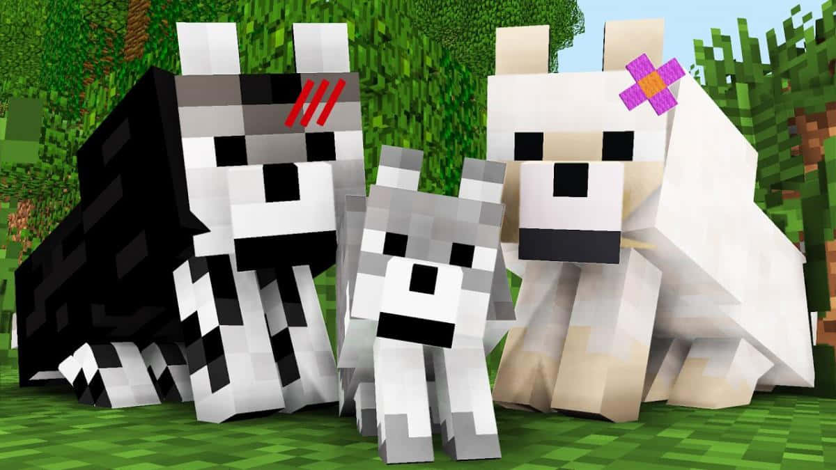 Minecraft Pets - Exploring The Wilderness With Your Best Friends Wallpaper