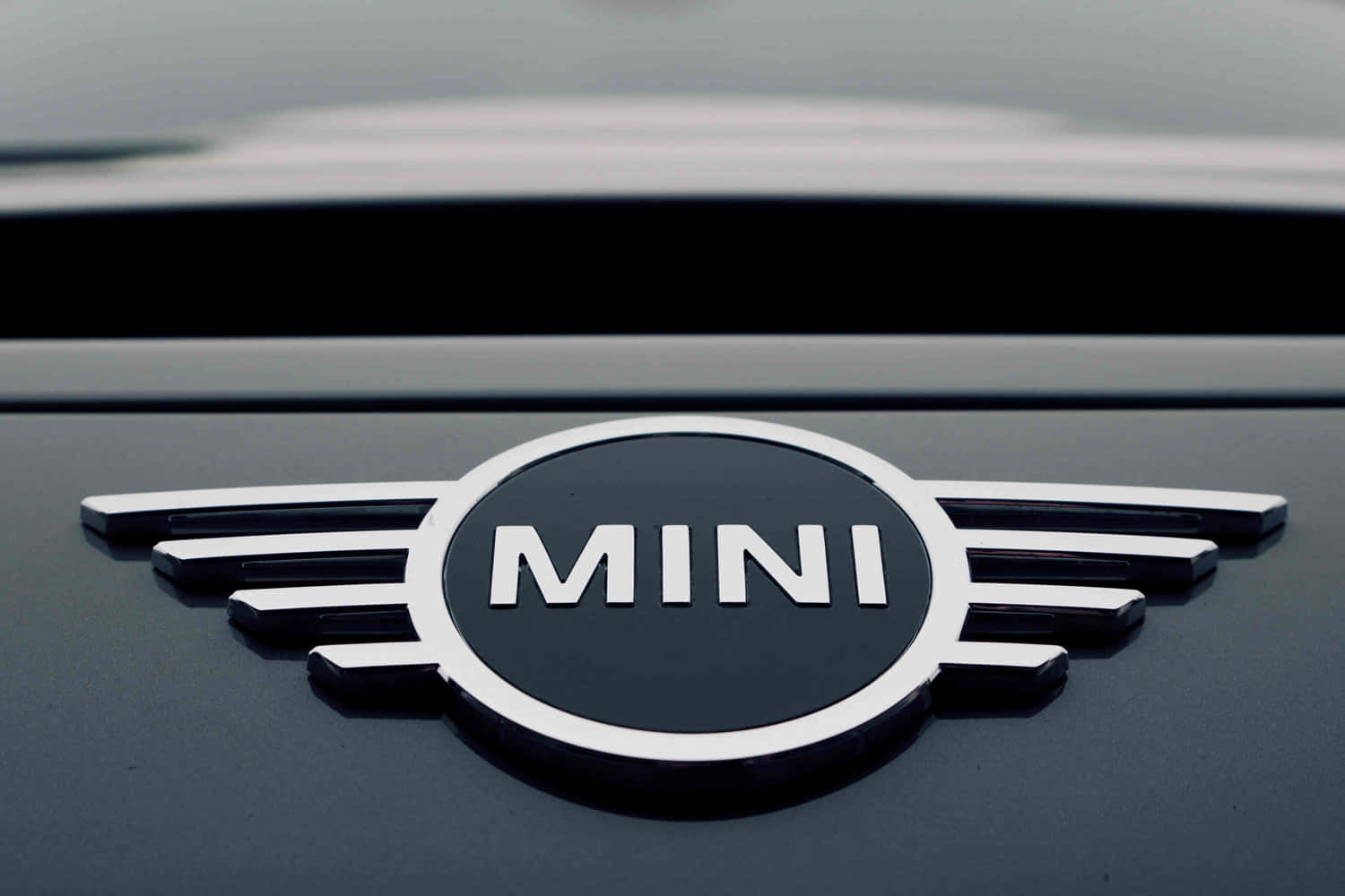 Mini Cooper Logo Close Up Wallpaper