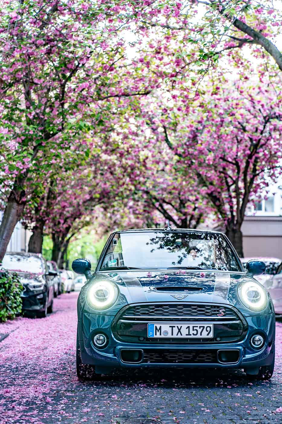 Mini Cooper S E Under Blossoming Trees Wallpaper