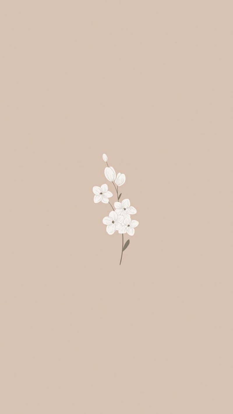 Minimalist Beige Floral Art Wallpaper