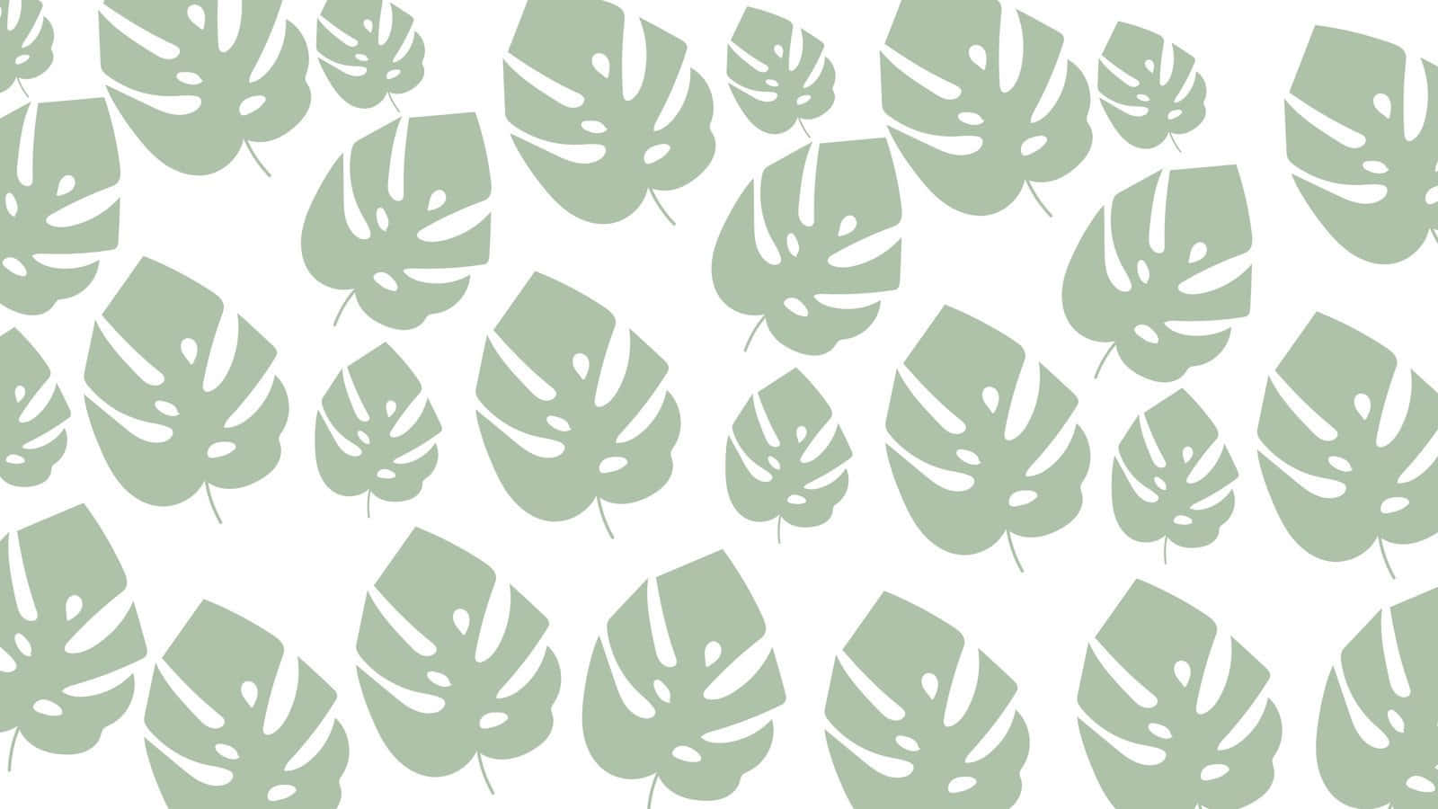 Minimalist Boho Monstera Pattern.jpg Wallpaper