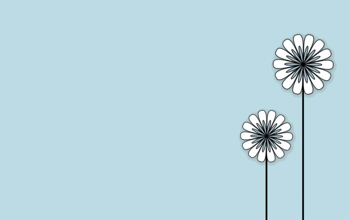 Minimalist Daisy Flower Art Wallpaper