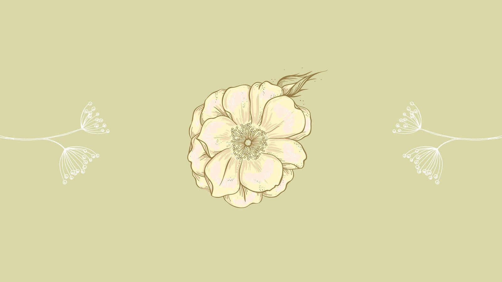 Minimalist Floral Aesthetic Wallpaper Wallpaper