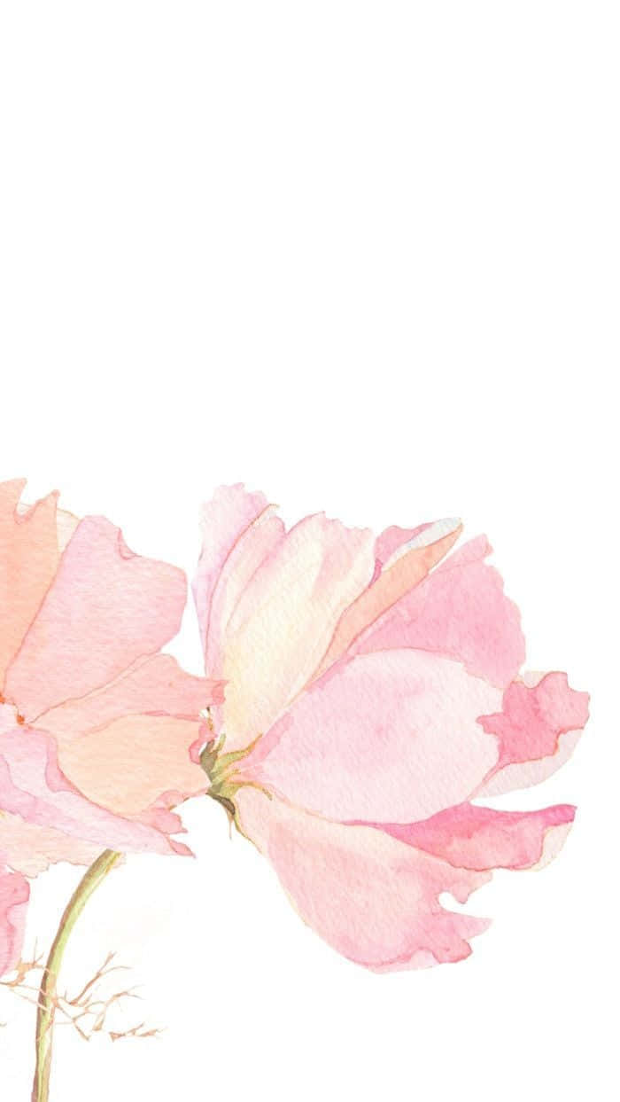 Minimalist Flower Painting Wallpaper