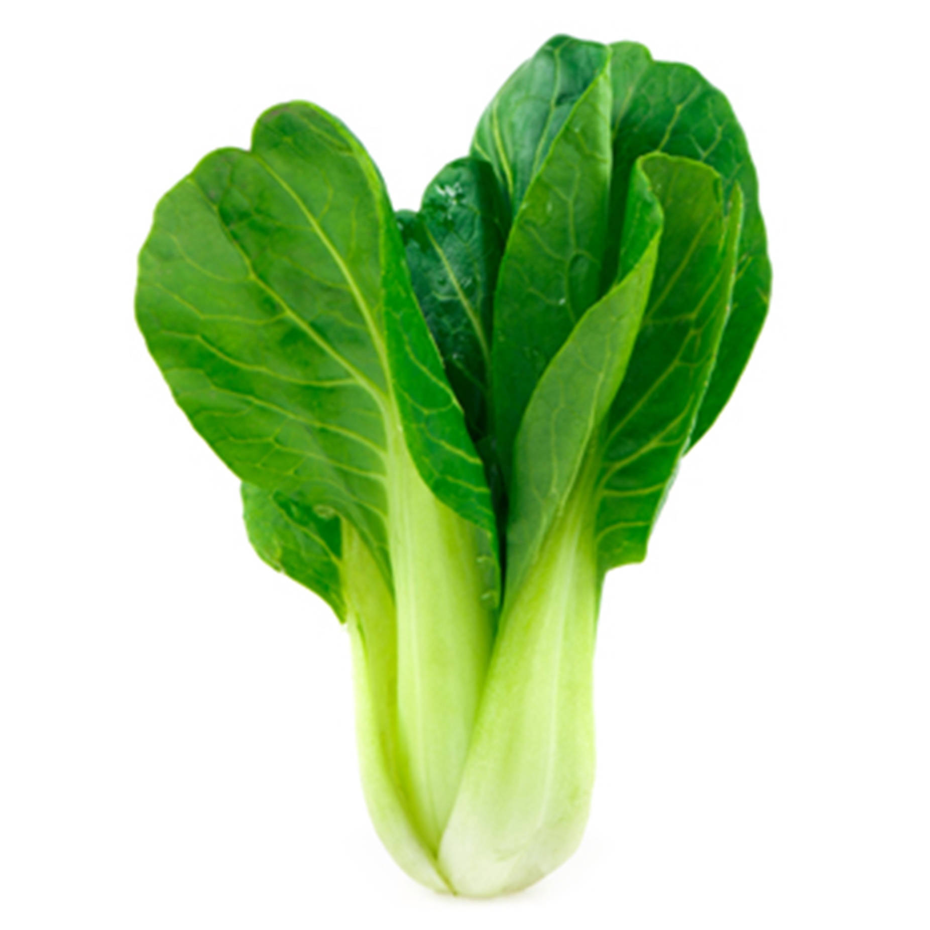 Minimalist Green Bok Choy Chinese Cabbage Wallpaper