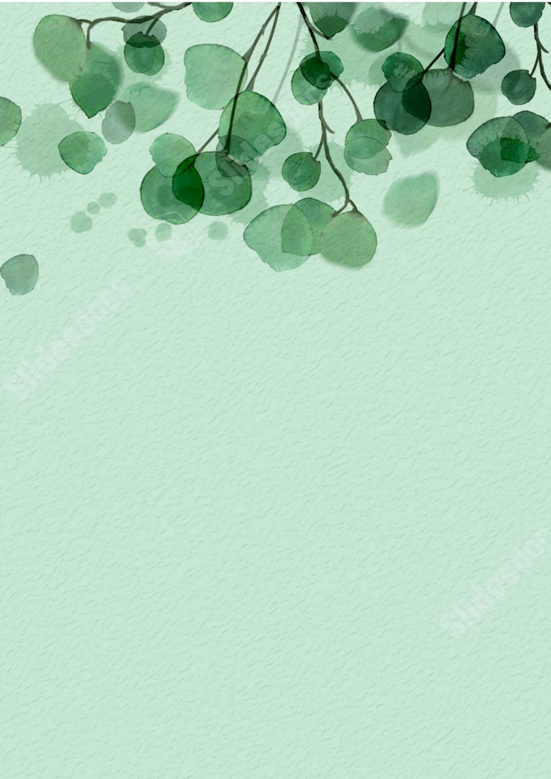 Minimalist Green Eucalyptus Watercolor Wallpaper