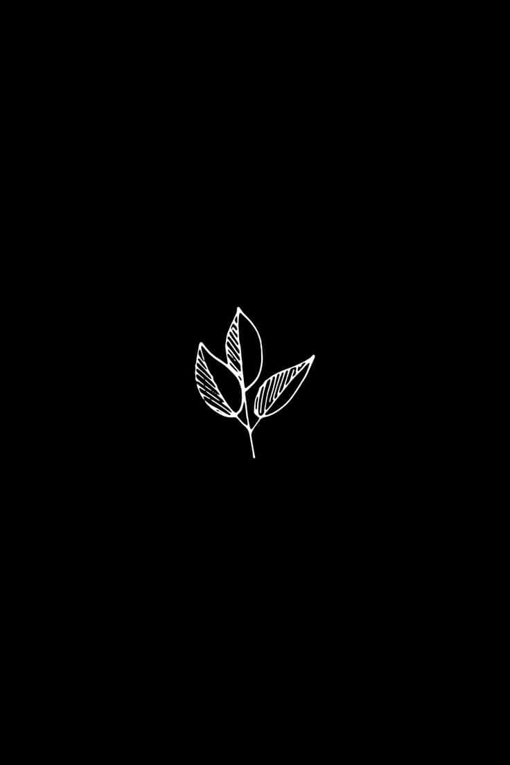 Minimalist Leaf Outline Dark Background.jpg Wallpaper