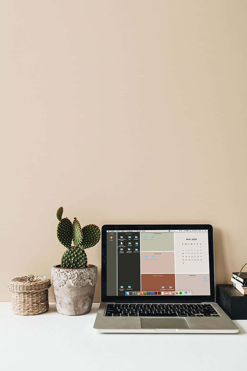 Minimalist Office Setupwith Laptopand Cactus Wallpaper