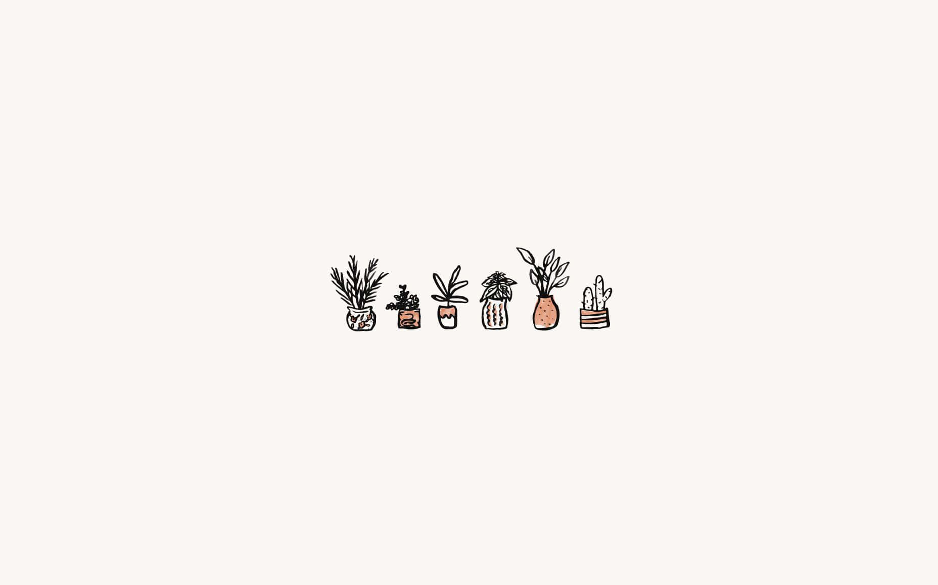 Minimalist Plant Illustrations Wallpaper