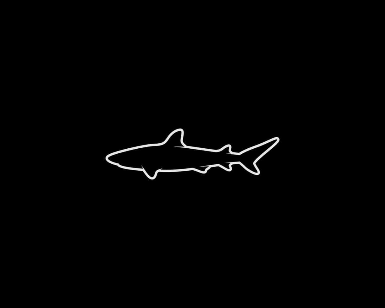 Minimalist Shark Outline Art Wallpaper