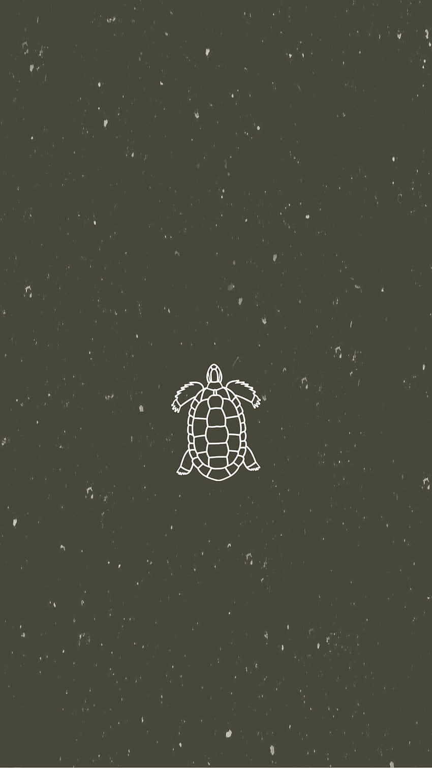 Minimalist_ Turtle_ Sketch_on_ Dark_ Background.jpg Wallpaper