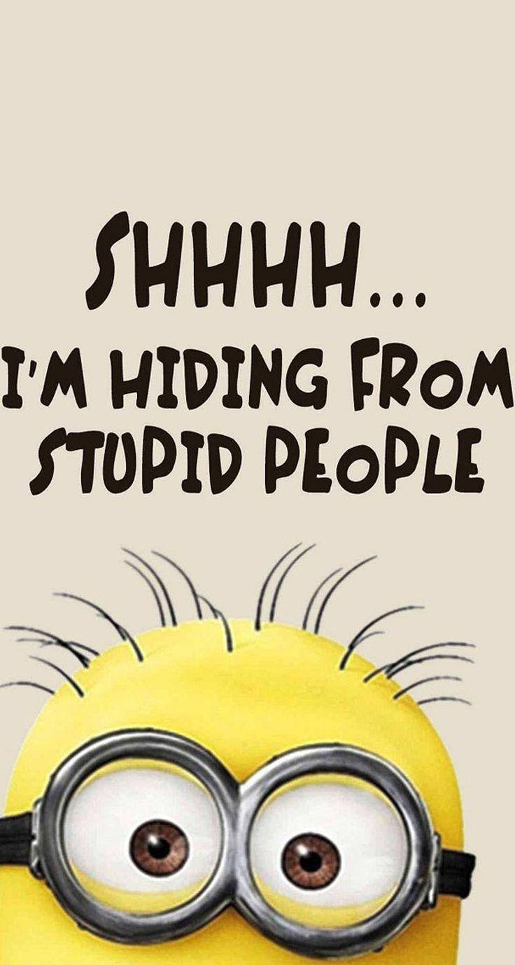 Minion Meme Hiding From Stupid People Wallpaper