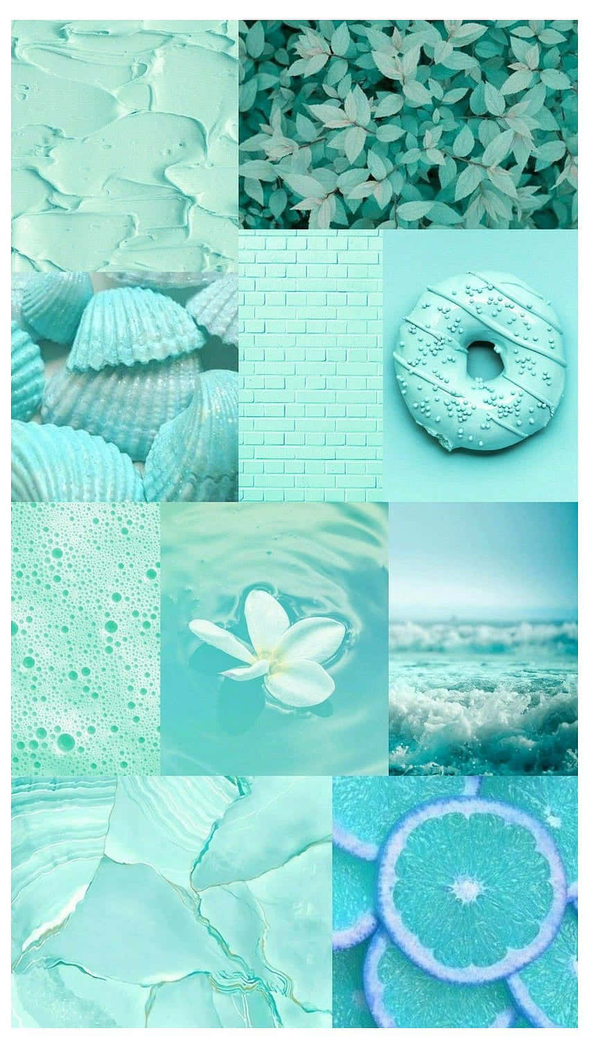 Mint Aesthetic Collage Wallpaper