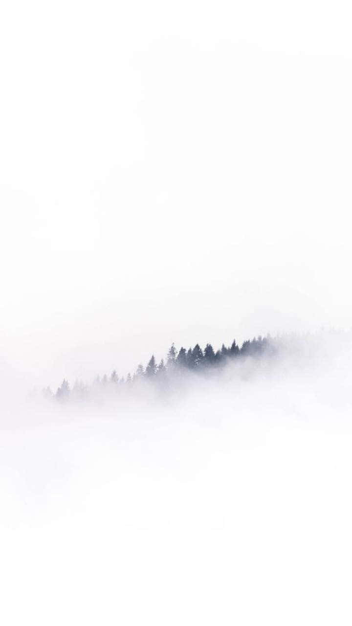 Misty Forest Minimalism Wallpaper