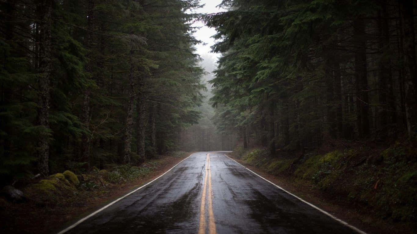 Misty Forest Road.jpg Wallpaper