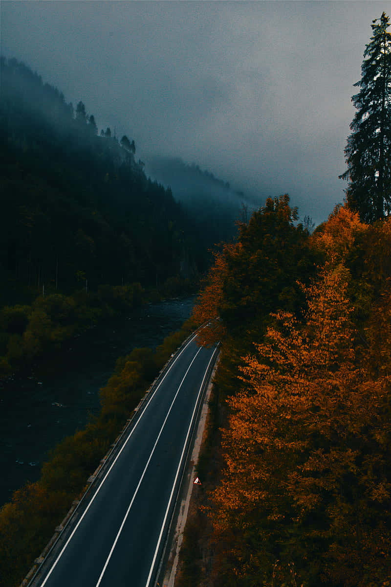 Misty Forest Road.jpg Wallpaper