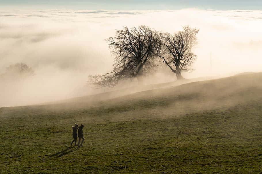 Misty Hillside Walk Olten Wallpaper