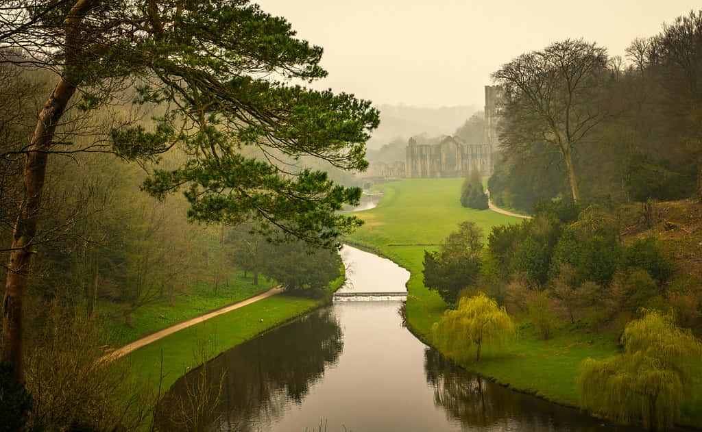 Misty River View Studley Royal Park Wallpaper