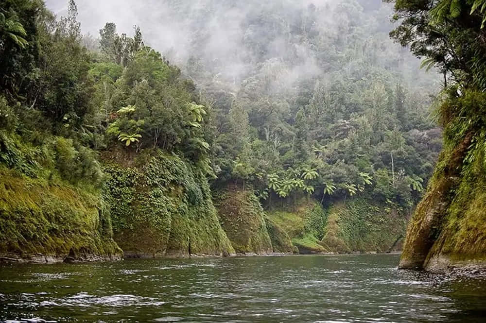 Misty Whanganui River New Zealand Wallpaper