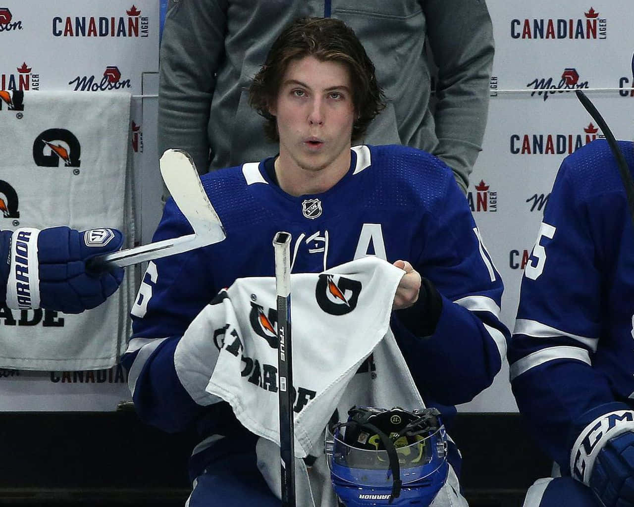 Mitchell Marner In The Bench Wallpaper