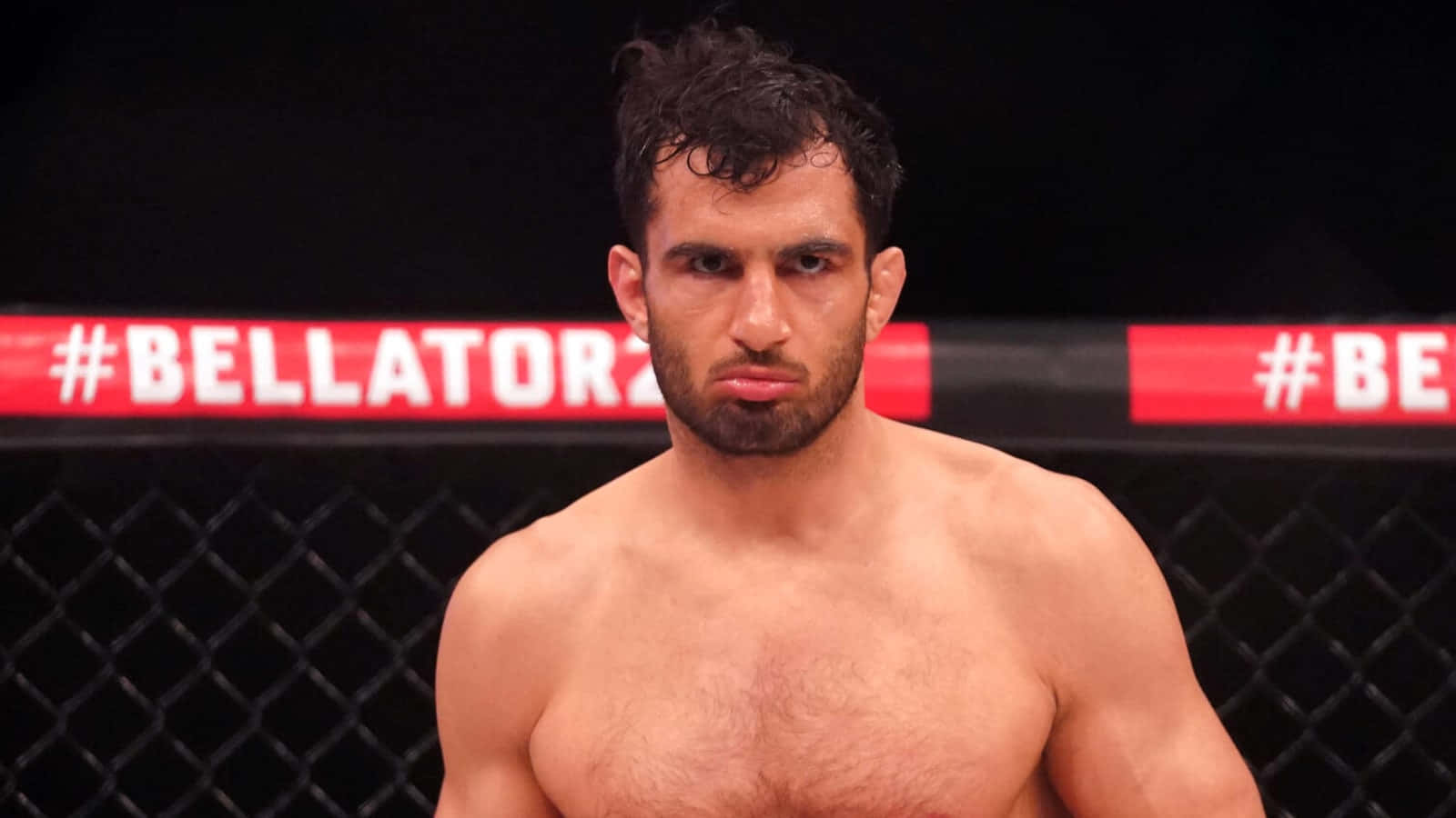 Mixed Martial Artist, Gegard Mousasi Celebrating Victory At Bellator 275 Wallpaper